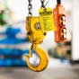 Hoist Inspection Tag