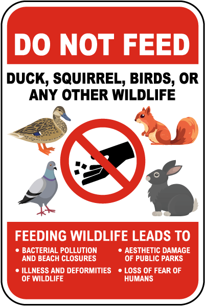 Do Not Feed The Wildlife Sign