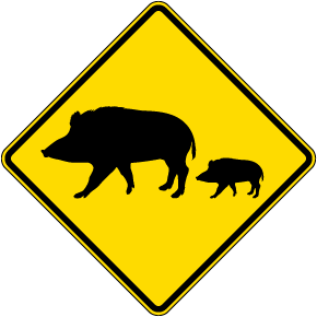 Boar Symbol Sign